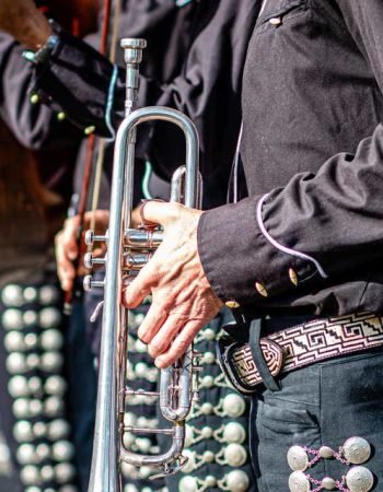 namesnack-nombres-para-negocios-de-mariachi-3645x5467-20201216